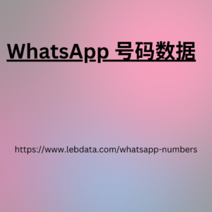 WhatsApp 号码数据